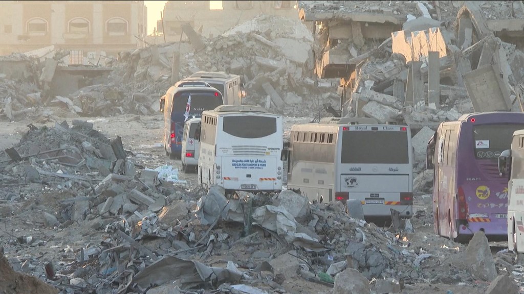 Red Cross buses in Gaza