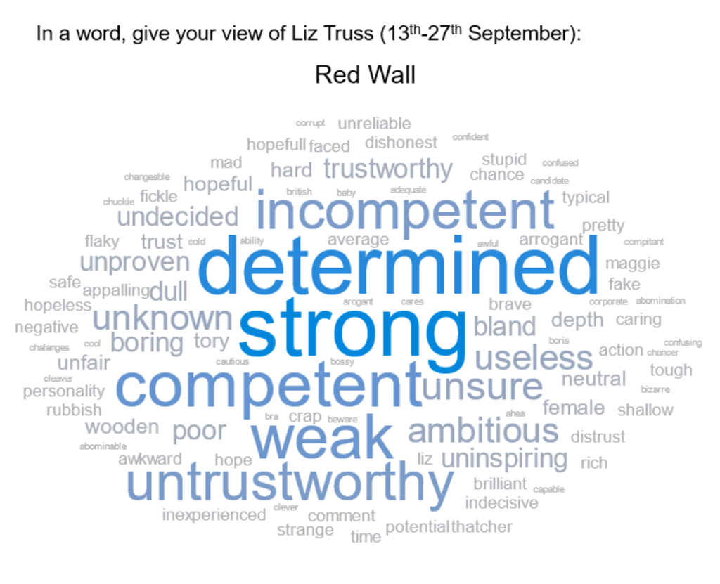 Word cloud for Liz Truss before the mini-budget
